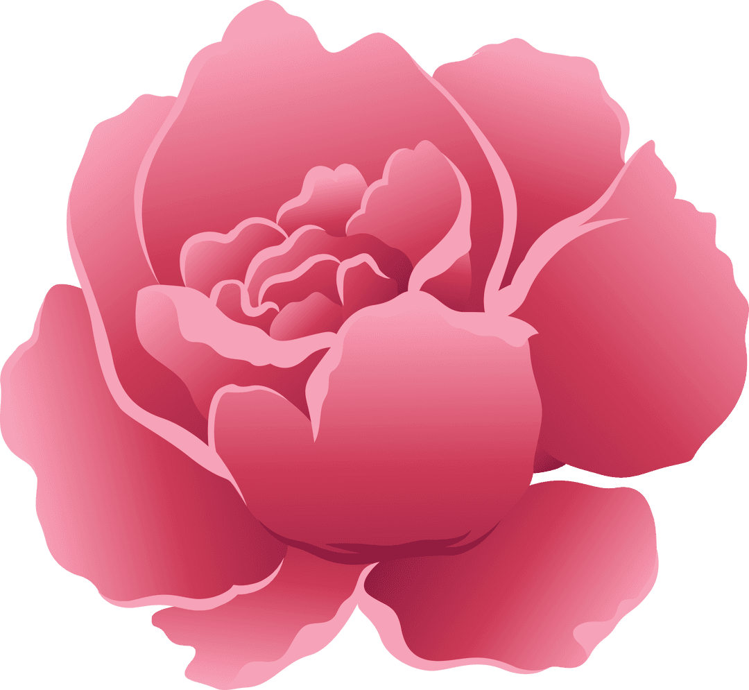 Pink Flower Illustration with Copy Space on Transparent Background