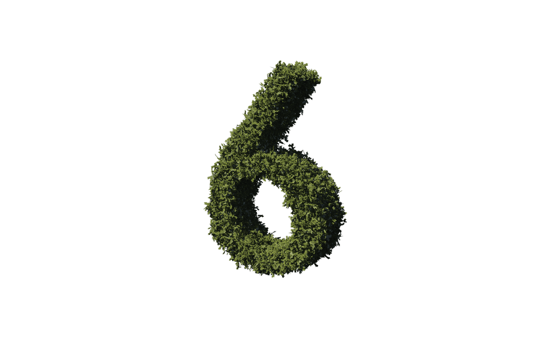 Transparent Grass Textured Number Six Digital Illustration