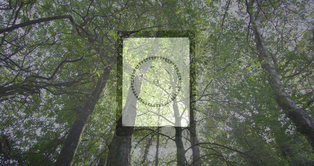 Abstract Geometric Design Amidst Lush Tree Canopy