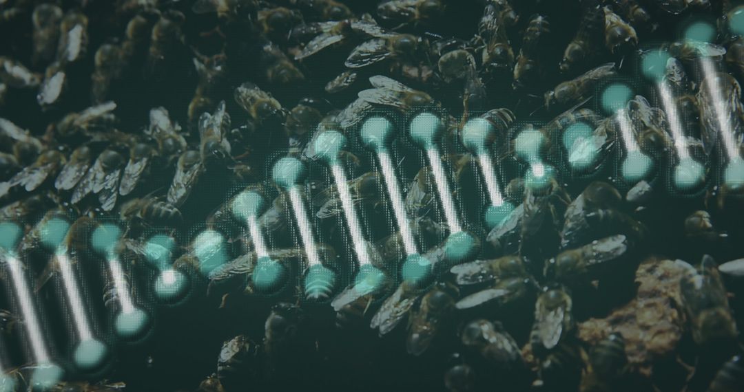 3D DNA Strand Overlaying Bee Colony Background