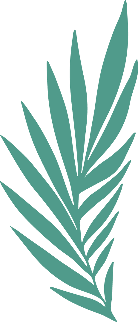 Transparent Botanical Stylized Palm Leaf in Minimalist Design