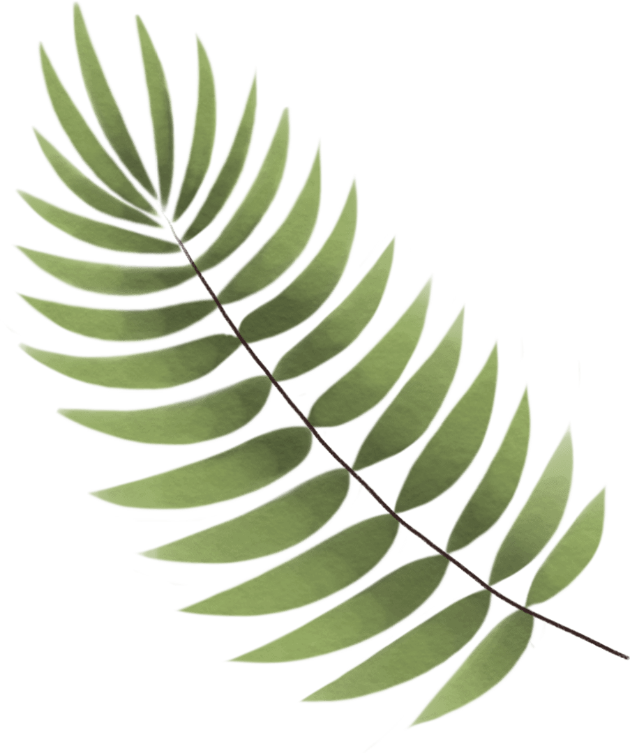 Transparent Background Green Leaf Illustration Vector