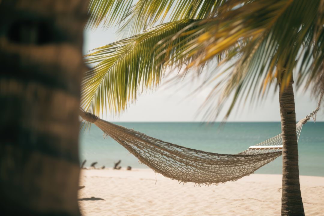 Tranquil Beach Hammock Under Palm Trees with Ocean View - Free Images, Stock Photos and Pictures on Pikwizard.com