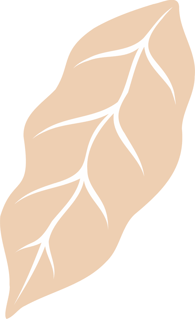 Minimalist Beige Leaf with White Veins on Transparent Background