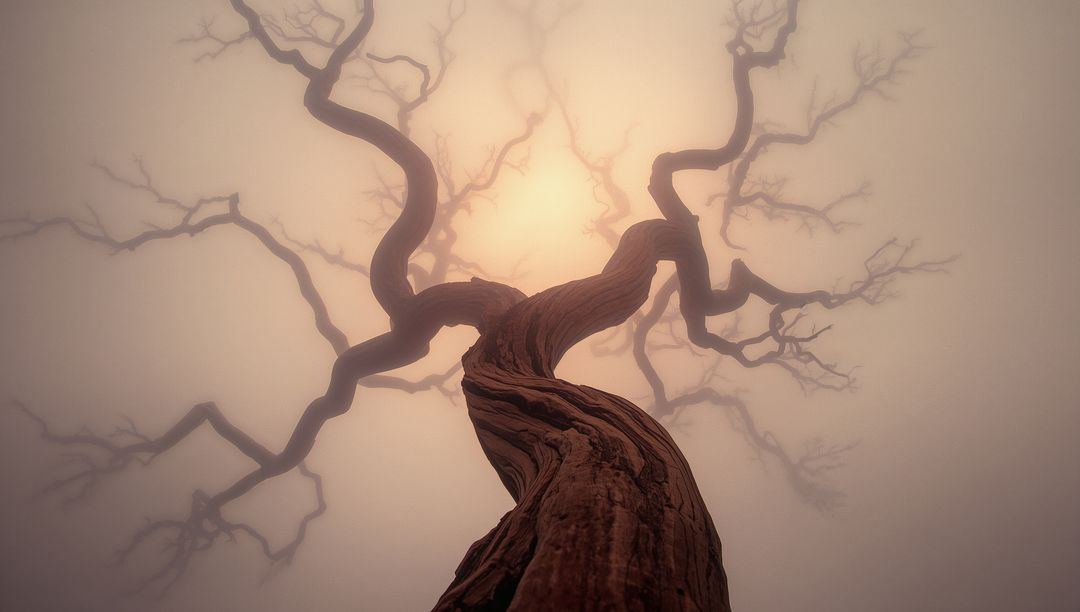 Twisting Ancient Tree in Mystical Fog: A Surreal Organic Wonderland