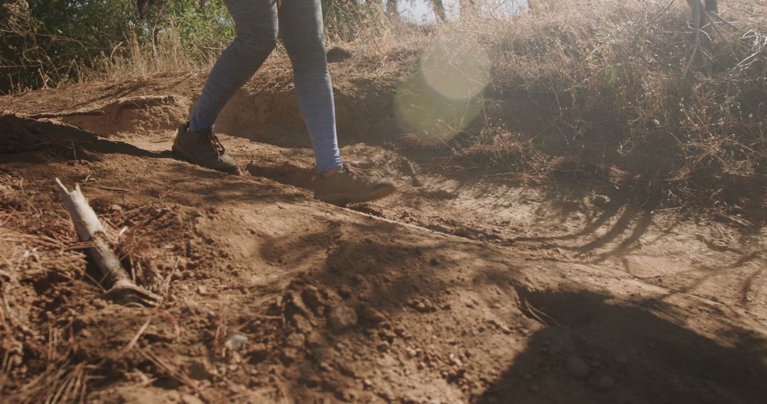 Person Hiking on Dirt Trail in Sunlit Forest - Free Images, Stock Photos and Pictures on Pikwizard.com