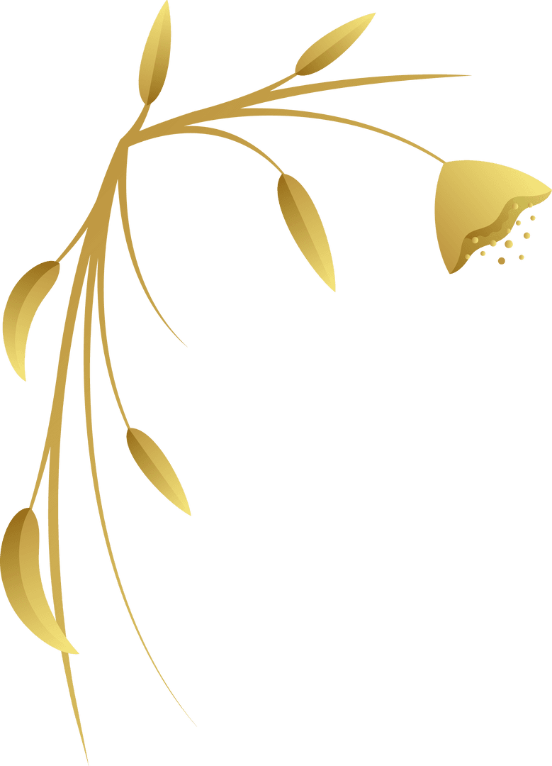Elegant Gold Botanical Design on Transparent Background