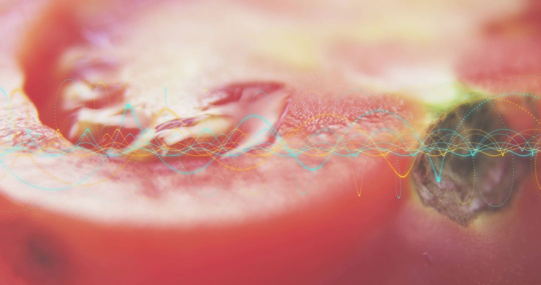 Macro closeup showing glossy red tomato pulp with seed and colorful waveform overlay