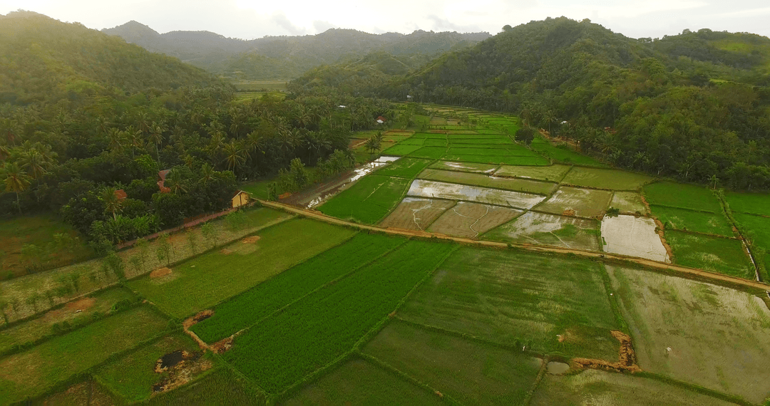 High Angle View of Lush Transparent Fields by Mountains