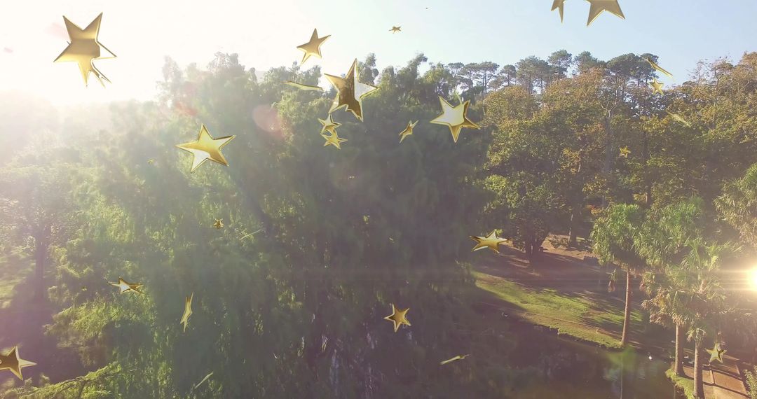 Sunlit park aerial over tree canopy with golden star overlays and warm lens flare