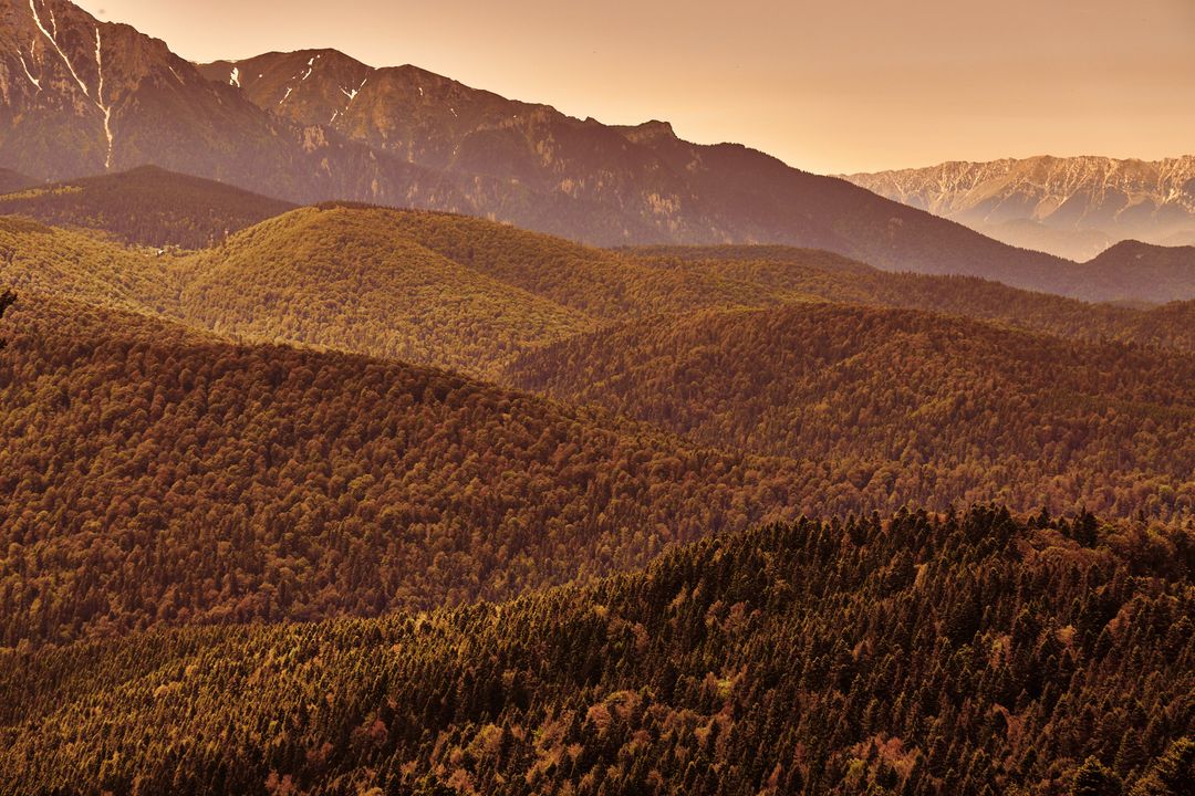 Mountain Range at Sunset with Forested Hills in Foreground - Free Images, Stock Photos and Pictures on Pikwizard.com