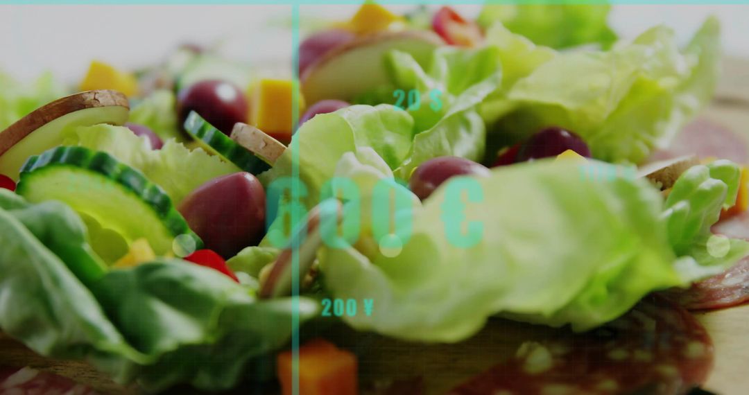 Displaying butter lettuce salad with cucumber, olives, cheddar and salami under cyan overlay