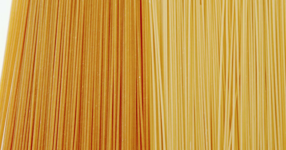 Side-by-Side Closeup of Wheat and Whole Wheat Spaghetti Noodles - Free Images, Stock Photos and Pictures on Pikwizard.com