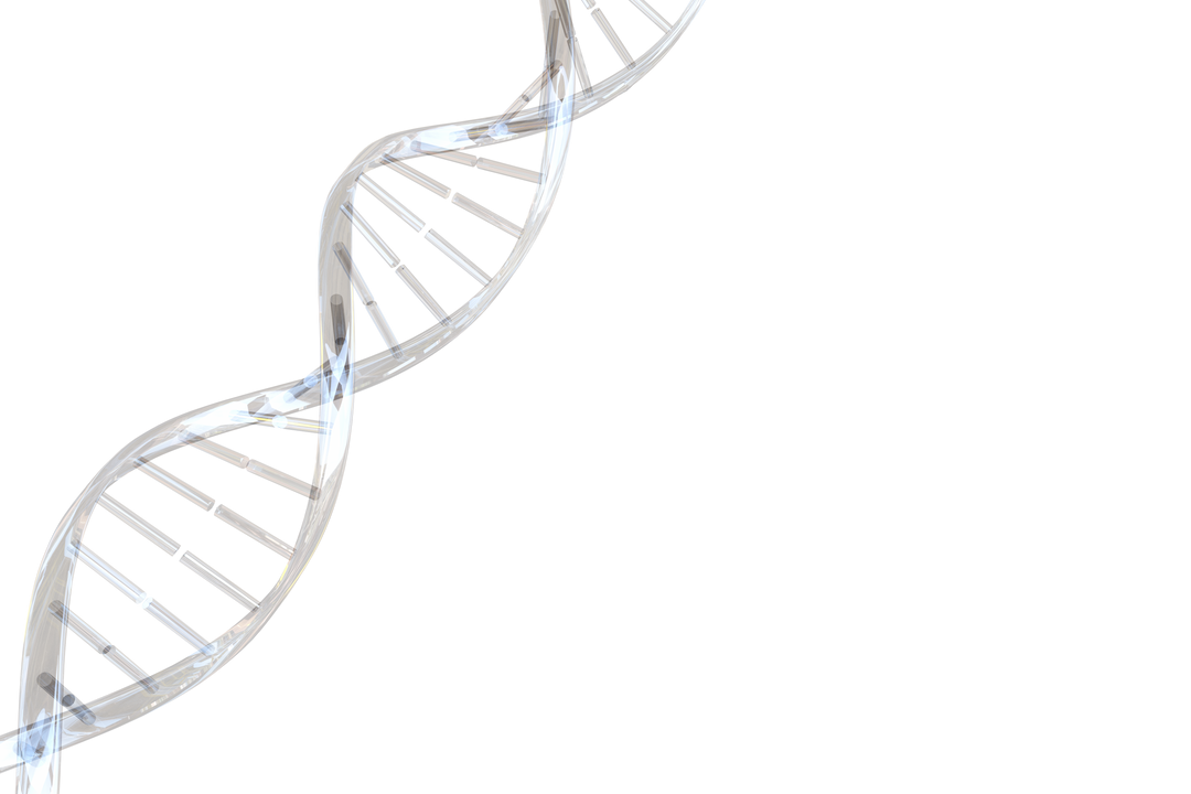 Digital Render of DNA Helix on Transparent Background, Isolated Molecular Structure - Download Free Stock Images Pikwizard.com