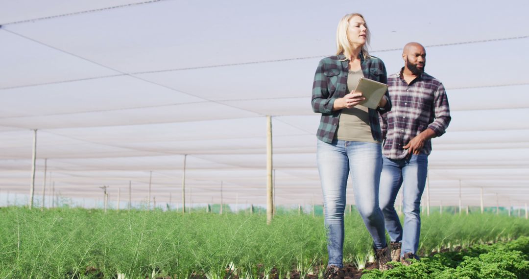 Professionals Using Technology in Greenhouse for Organic Farming
