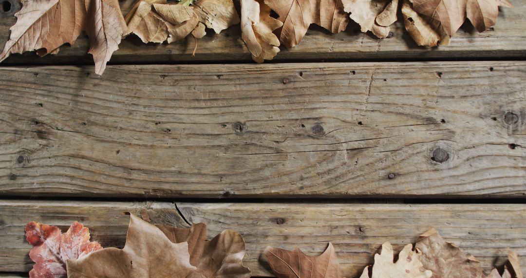 Autumn Leaves on Rustic Wooden Planks Background - Free Images, Stock Photos and Pictures on Pikwizard.com