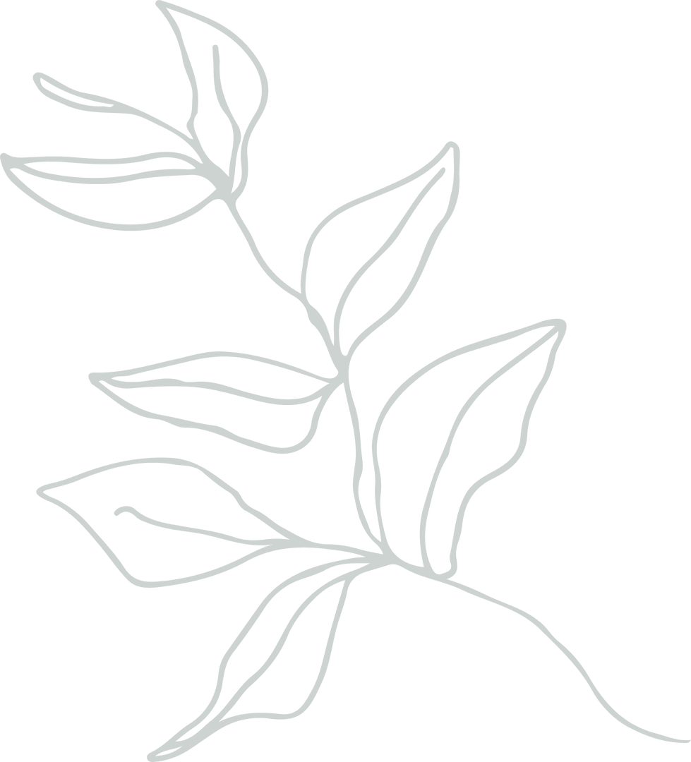 Minimalist White Line Art Botanic Illustration Transparent Background