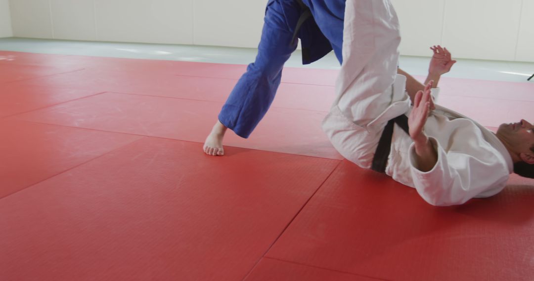 Judo Practice Showing Effective Throw Technique On Red Mat - Free Images, Stock Photos and Pictures on Pikwizard.com