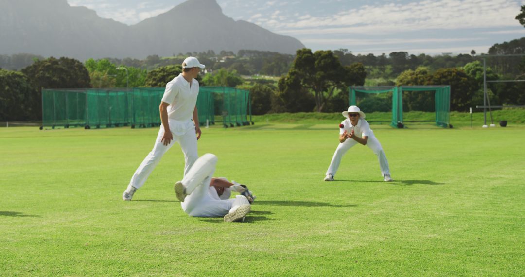 Fielding Practice on Green Sports Field with Cricketers - Free Images, Stock Photos and Pictures on Pikwizard.com