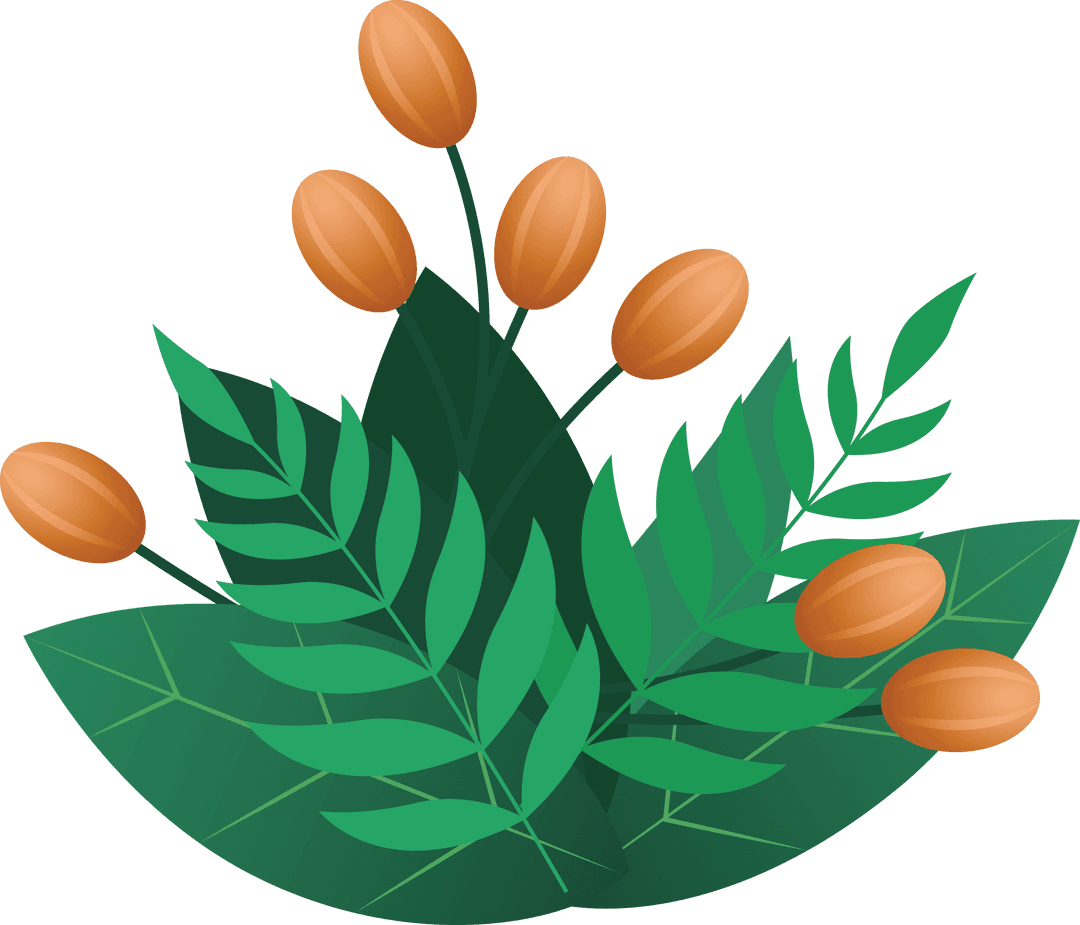 Transparent Botanical Illustration of Green Leaves and Brown Fruits