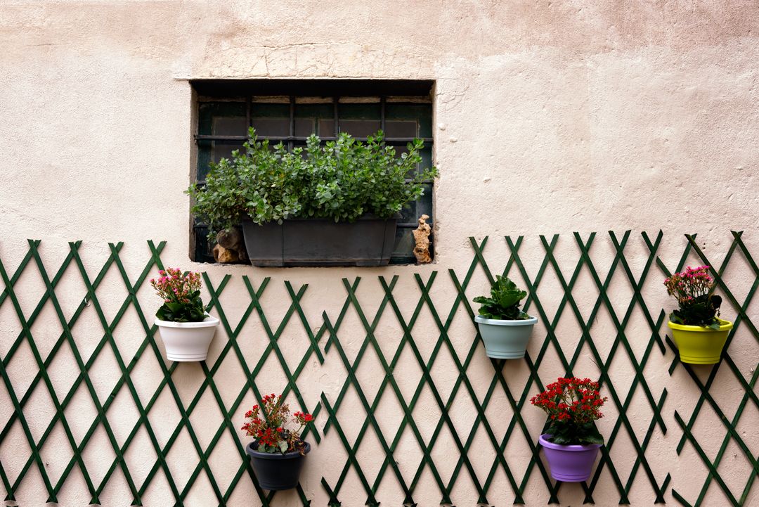 Colorful Planters Lining Green Lattice Wall Under Window Box with Lush Greenery