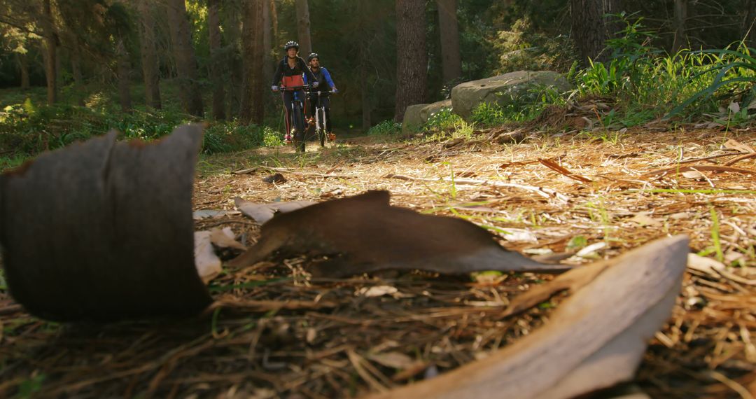 Mountain Bikers Riding Through Forest Trail in Autumn - Free Images, Stock Photos and Pictures on Pikwizard.com