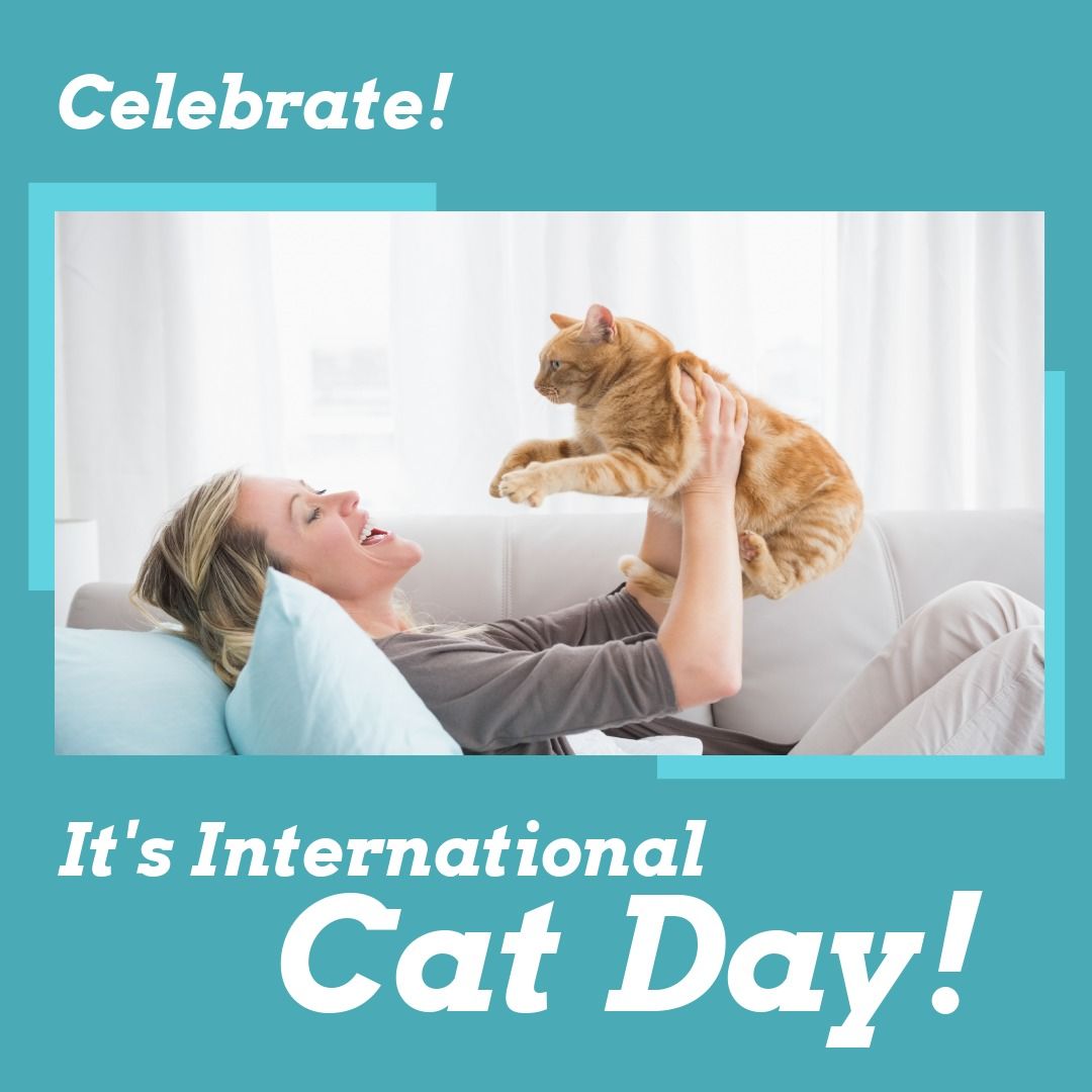 Image of celebrate its international cat day and caucasian woman with cat lying on sofa - Download Free Stock Templates Pikwizard.com