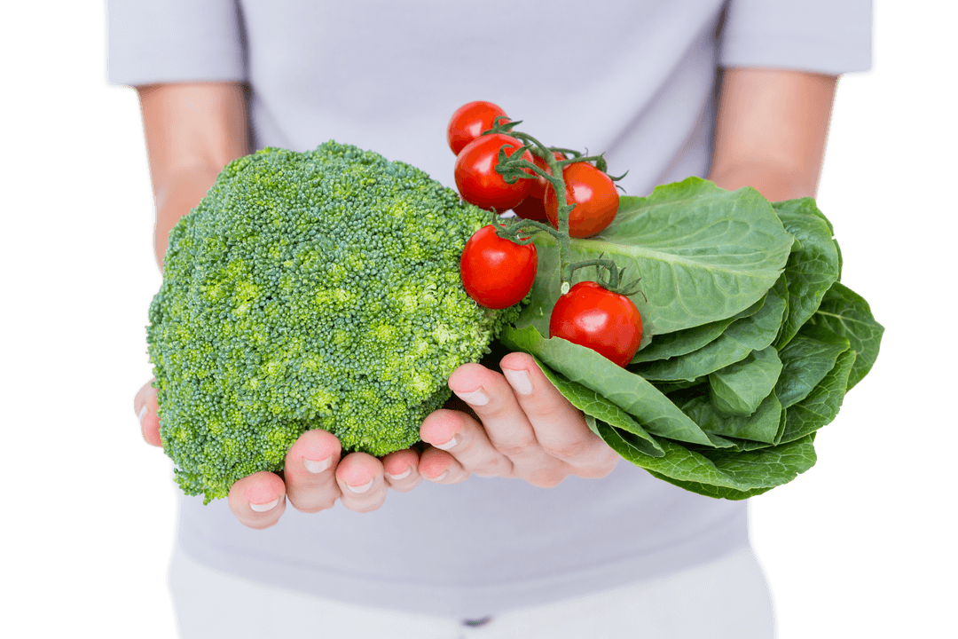 Hands Holding Fresh Vegetables on Transparent Background
