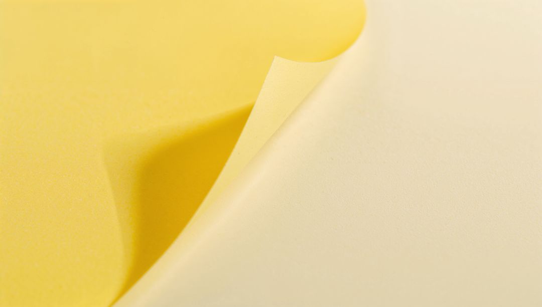 Curling Yellow Paper Revealing Cream Underside with Soft Shadow and Fine Texture