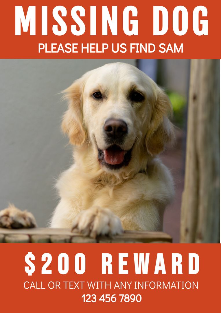 Missing Dog Reward Poster with Golden Retriever - Download Free Stock Templates Pikwizard.com