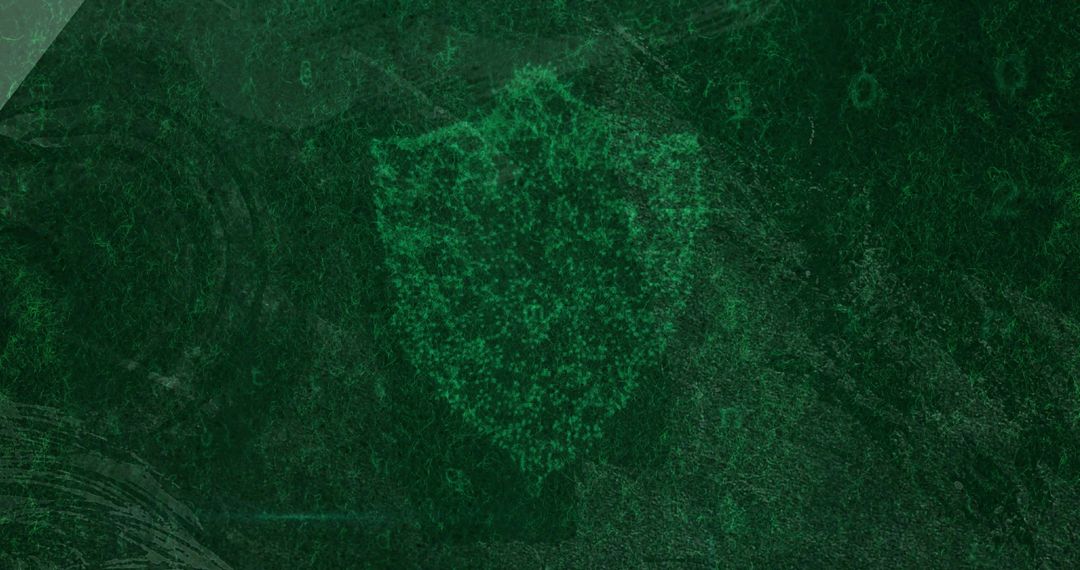 Digital Shield in Quantum Data Cloud Concept