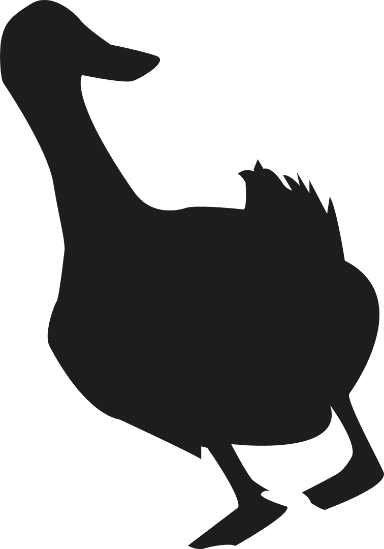 Modern Silhouette of Waterfowl with Jagged Tail on Transparent Background