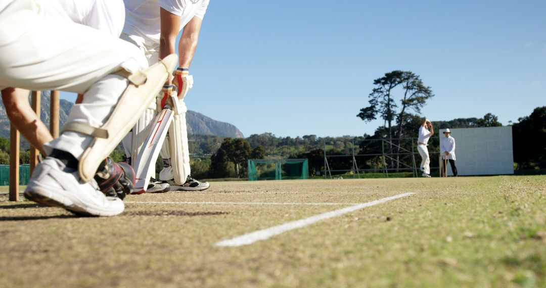 Batsman Facing Bowler on Sunny Cricket Field with Stumps - Free Images, Stock Photos and Pictures on Pikwizard.com