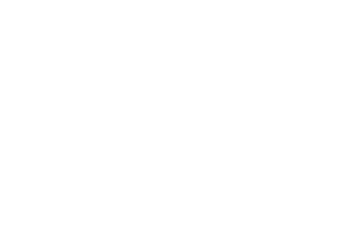 Transparent Silhouette of Couple Holding Hands