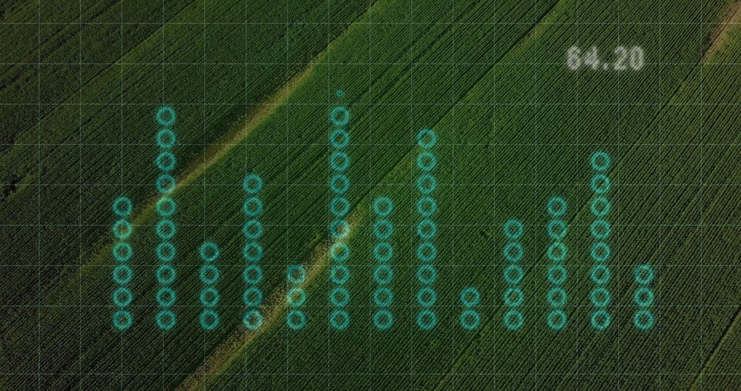 Precision Farming Data Visualization over Lush Crop Field