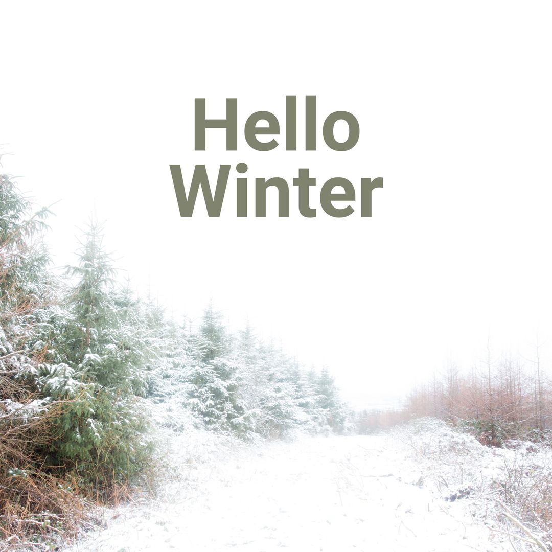 Winter Forest with Snowy Trees and Hello Winter Text
