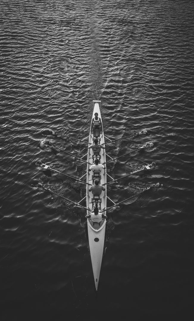 Aerial View of Rowing Team Training on Calm Water - Free Images, Stock Photos and Pictures on Pikwizard.com