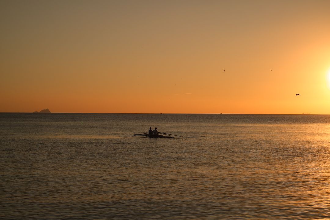 Sunset Rowing on Tranquil Ocean - Free Images, Stock Photos and Pictures on Pikwizard.com