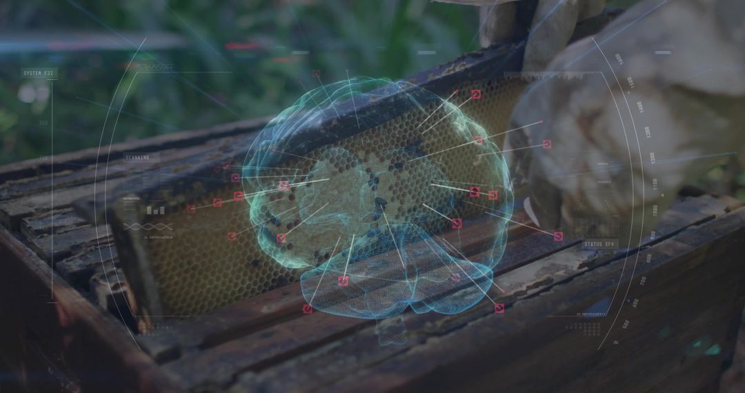 Holographic Brain Projected over Honeycomb in Apiary Setting