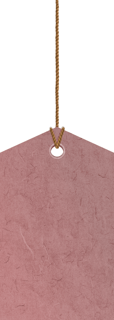 Blank Red Label with Rope on Transparent Background