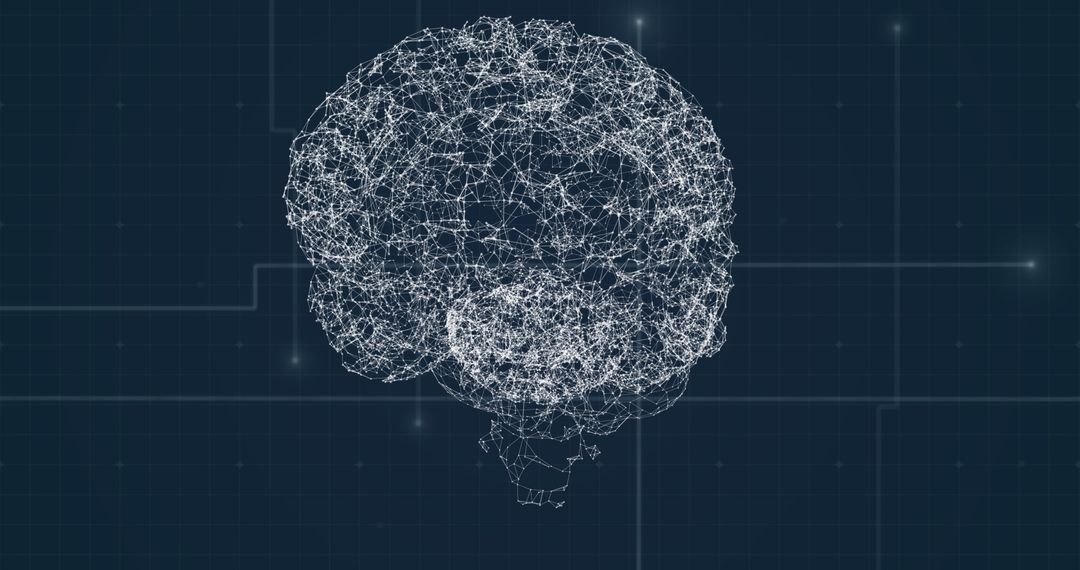 Digital visualization of brain network with grid connections