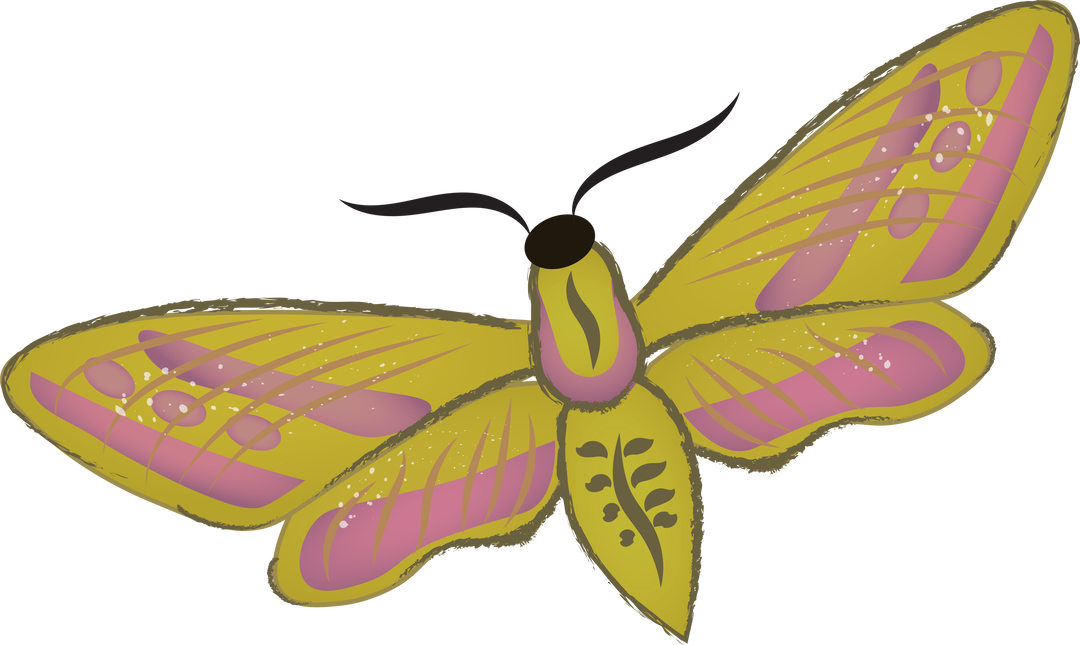 Pink and Yellow Butterfly Illustration Transparent Background - Download Free Stock Images Pikwizard.com