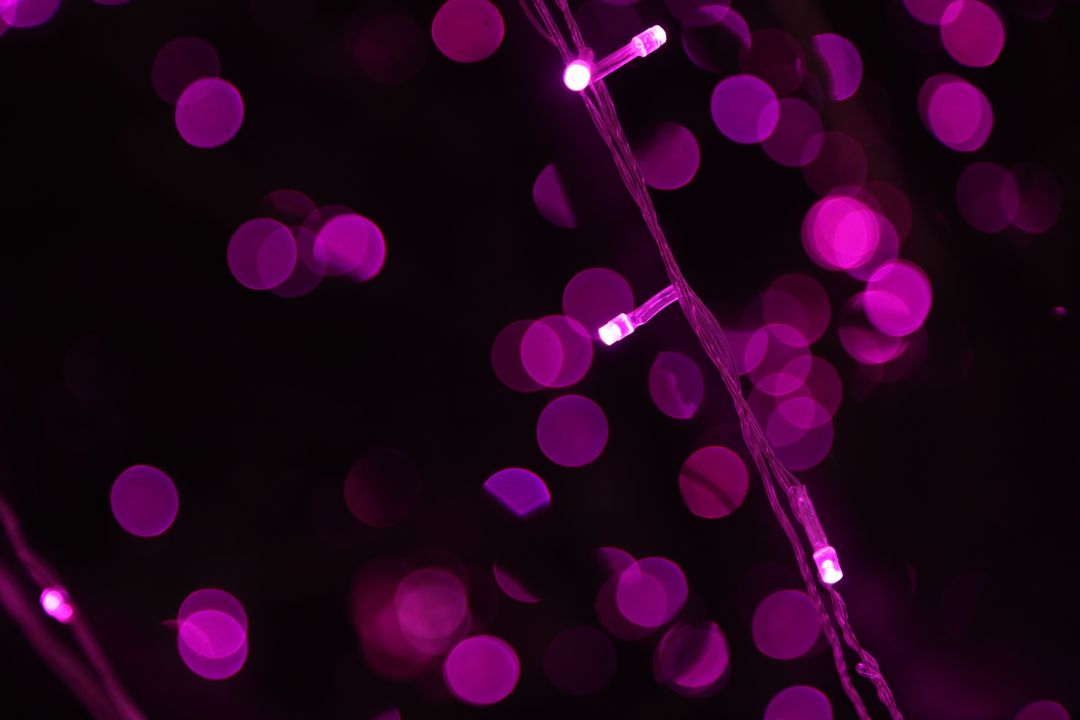 Magenta Fairy Lights Bokeh in Darkness - Free Images, Stock Photos and Pictures on Pikwizard.com