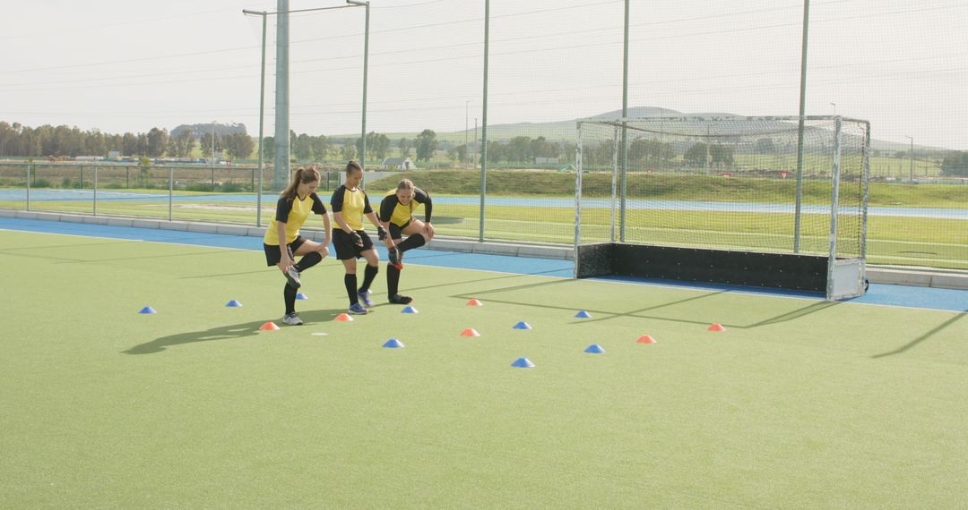 Diverse Female Soccer Team Stretching on Turf During Practice