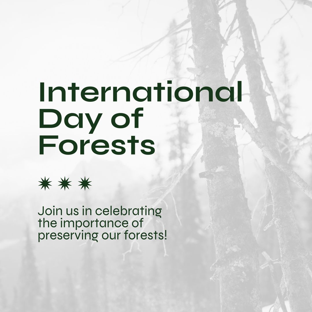 Celebrating International Day of Forests on Foggy Landscape