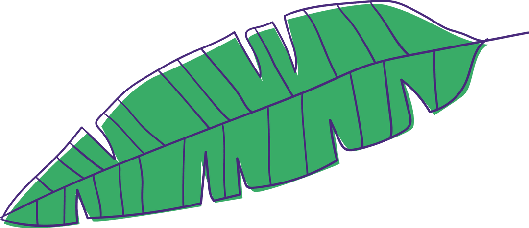 Transparent Tropical Green Leaf with Cut Edges on Transparent Background