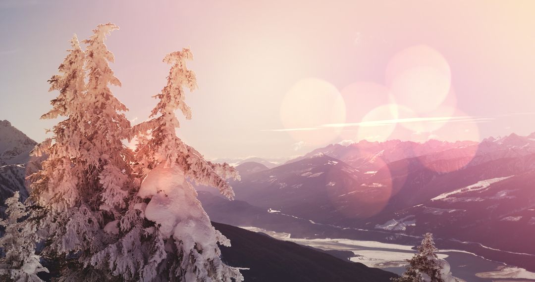 Winter Wonderland with Snow-Covered Trees and Mountain View