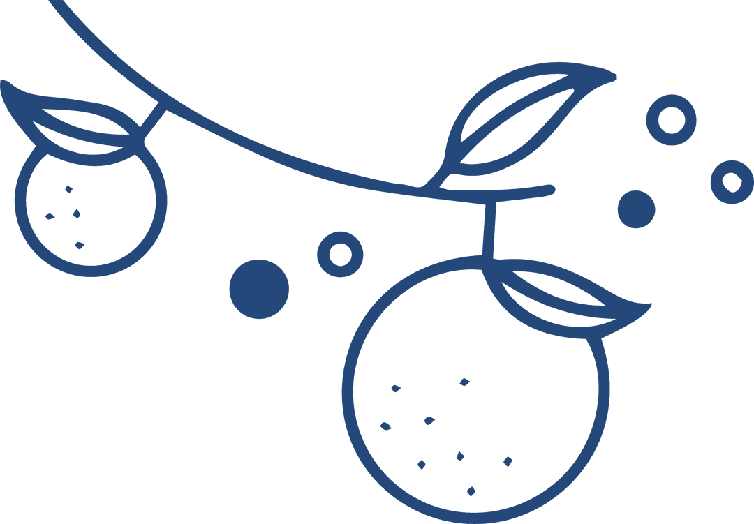 Minimally Abstract Citrus Fruit Line Drawing on Transparent Background