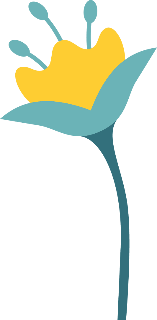 Stylized Yellow Flower on Transparent Background