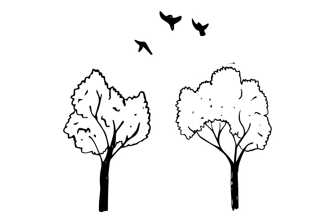 Digital Trees and Birds Illustration on Transparent Background